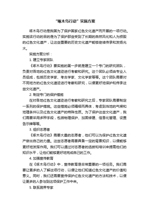 “啄木鸟行动”实施方案
