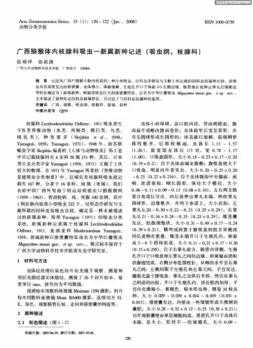 广西猕猴体内枝腺科吸虫一新属新种记述(吸虫纲,枝腺科)