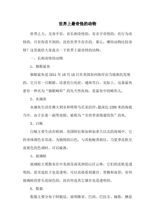 世界上最奇怪的动物