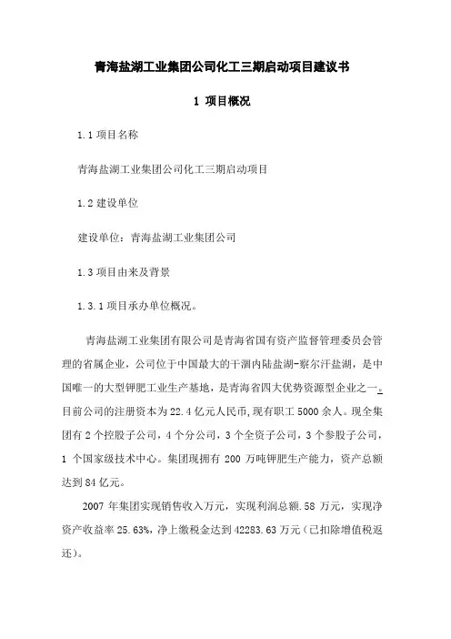 青海盐湖工业集团化工三期启动项目建议书(修改)范文