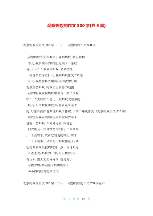 观察蚂蚁的作文300字(共9篇)
