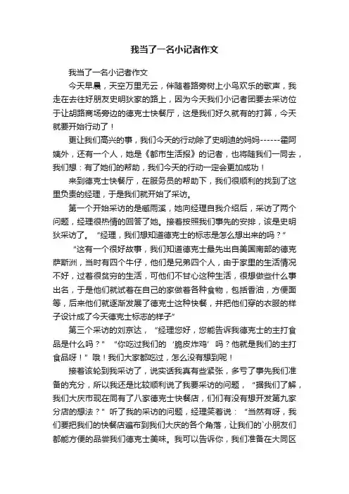 我当了一名小记者作文