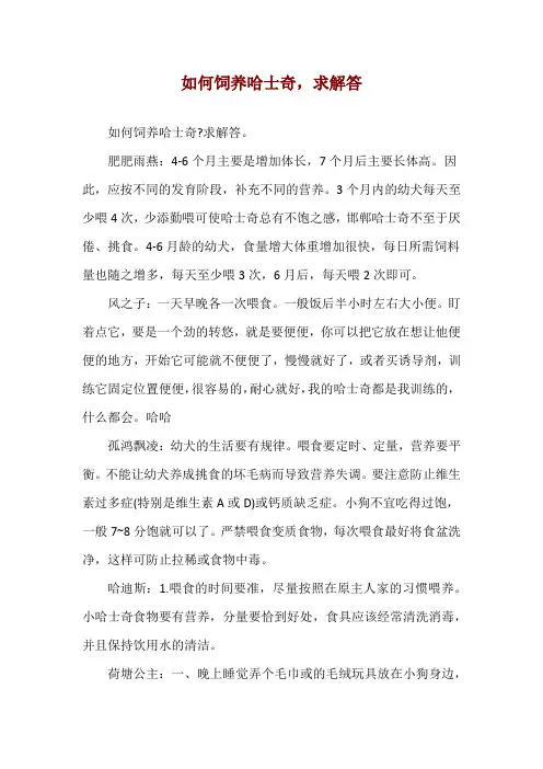 如何饲养哈士奇,求解答