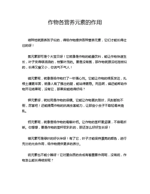 作物各营养元素的作用