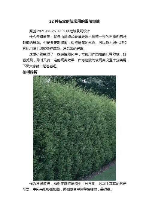 22种私家庭院常用的围墙绿篱