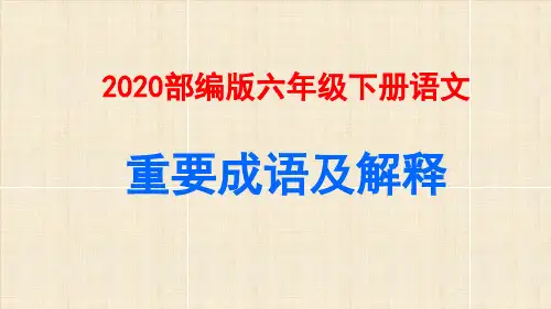2020部编版六年级语文下册重要成语及解释