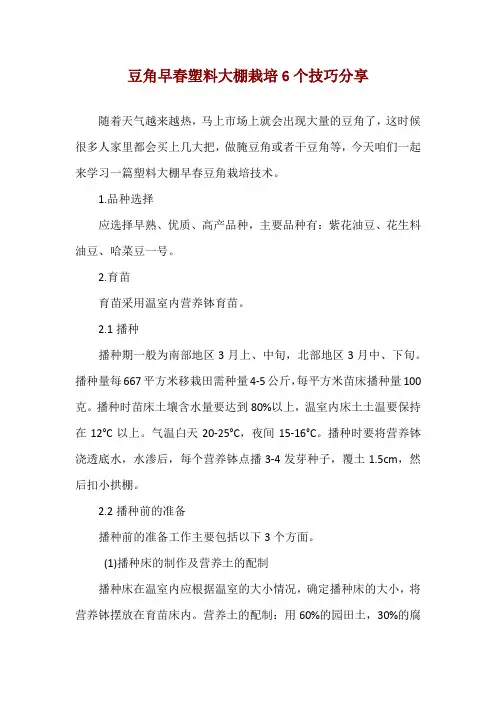 豆角早春塑料大棚栽培6个技巧分享