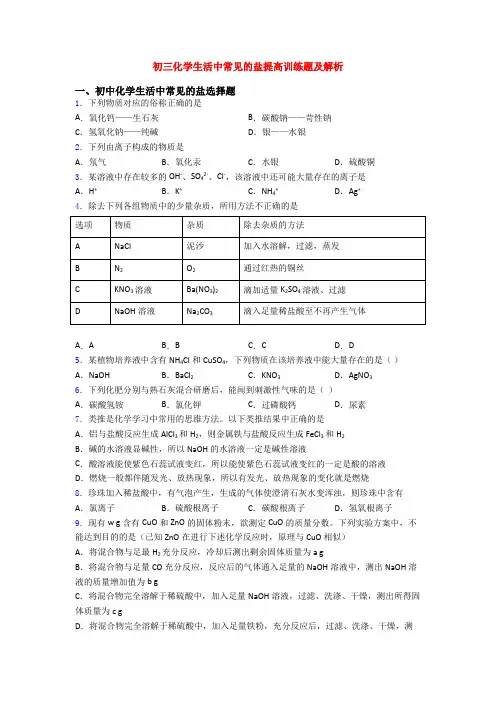 初三化学生活中常见的盐提高训练题及解析