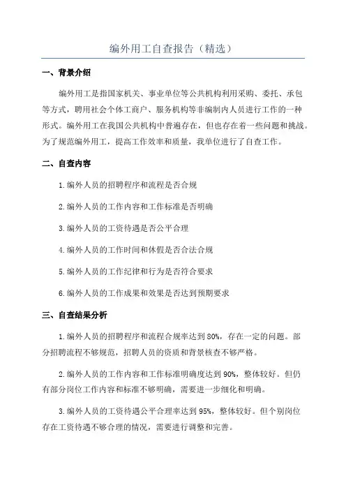 编外用工自查报告(精选)