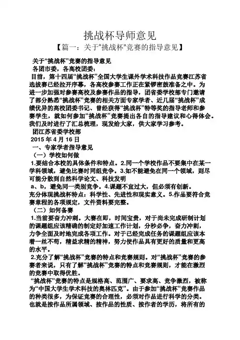 挑战杯导师意见