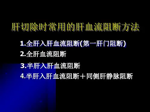 最新：半肝血流完全阻断无血切肝术(黑底)-文档资料