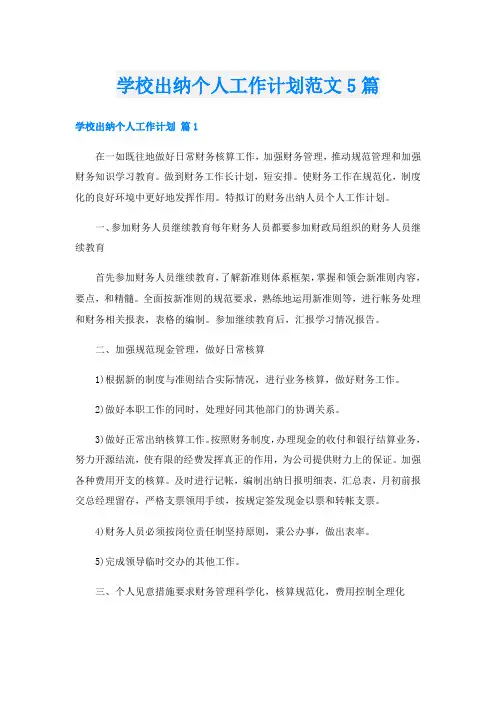 学校出纳个人工作计划范文5篇