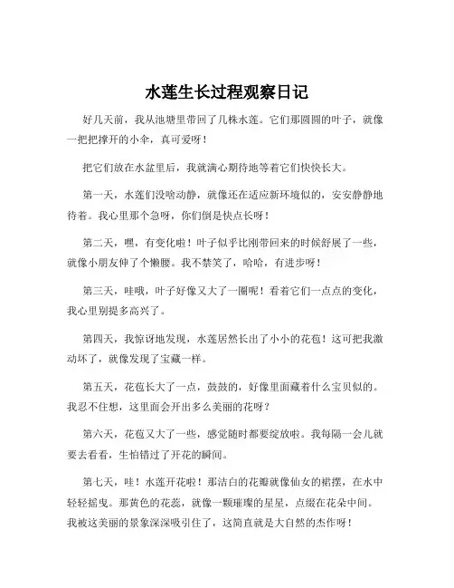 水莲生长过程观察日记