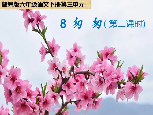 部编版六年级语文下册8.匆匆课件(第二课时17张PPT)