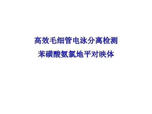 药物分析实验：高效毛细管电泳分离检测苯磺酸氨氯地平对映体