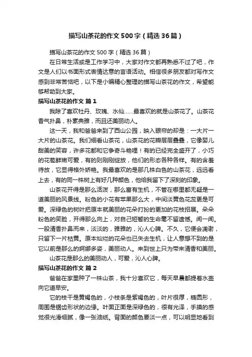 描写山茶花的作文500字（精选36篇）