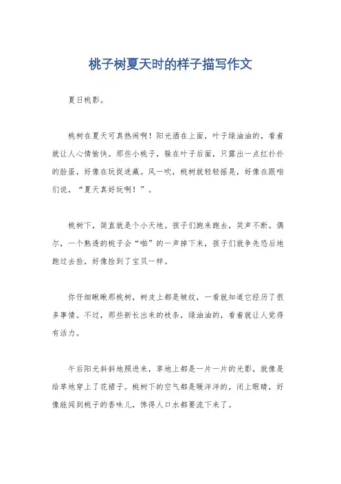 桃子树夏天时的样子描写作文