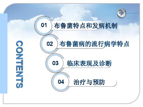 布鲁菌病讲课ppt课件