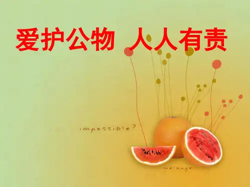 《爱护公物 人人有责》PPT