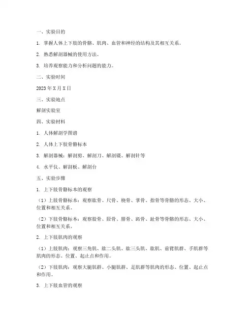 解剖上下肢实验报告