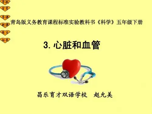 心脏和血管ppt 赵允美 昌乐育才双语学校