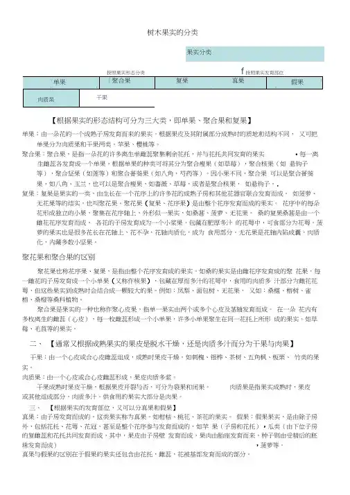 树木果实的分类