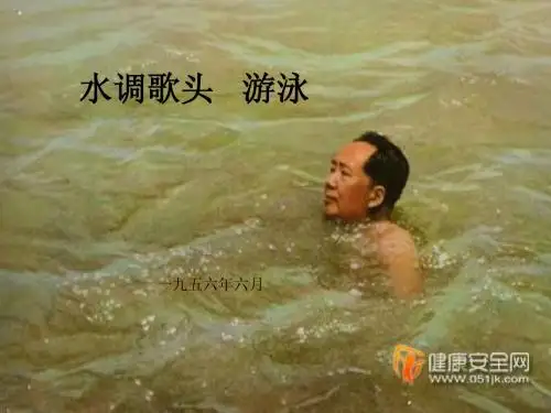 水调歌头 游泳
