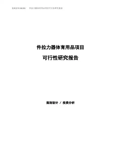 件拉力器体育用品项目可行性研究报告范本(立项备案申请参考)