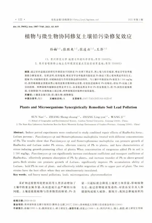 植物与微生物协同修复土壤铅污染修复效应