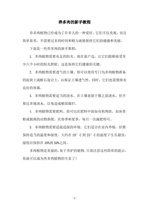 养多肉的新手教程