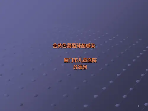 金黄色葡萄球菌-ppt课件