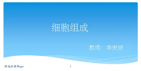 动物细胞亚显微结构模式图