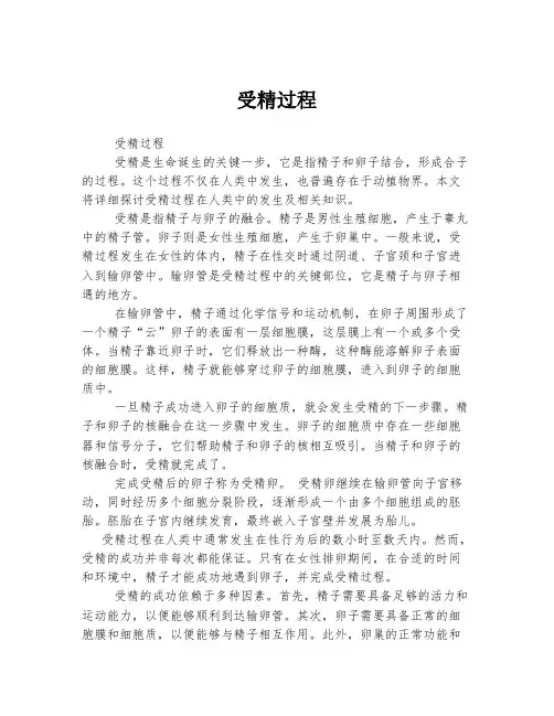 受精过程 