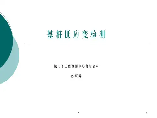 低应变检测省培训