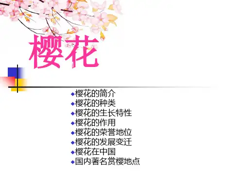 樱花知识介绍精品PPT课件