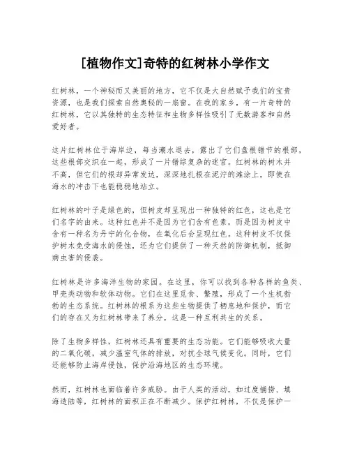 [植物作文]奇特的红树林小学作文