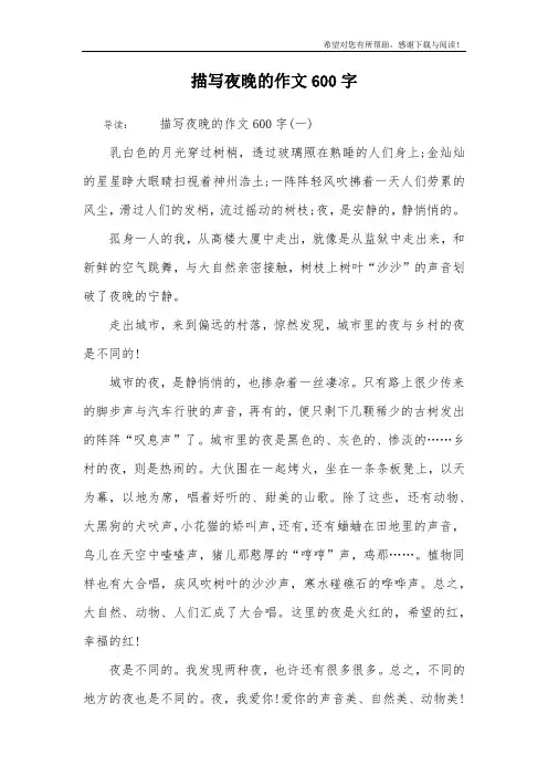 描写夜晚的作文600字