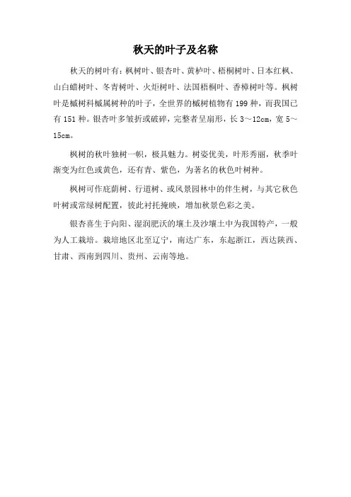 秋天的叶子及名称