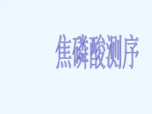 焦磷酸测序