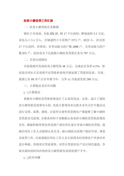 扶贫小额信贷工作汇报