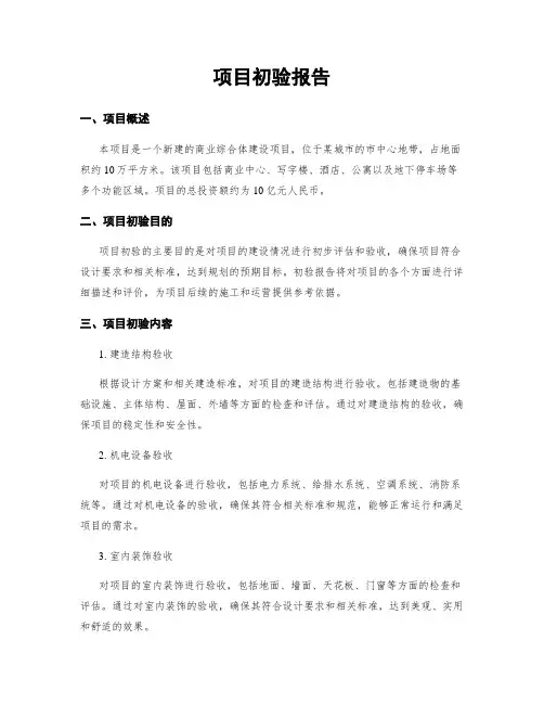 项目初验报告