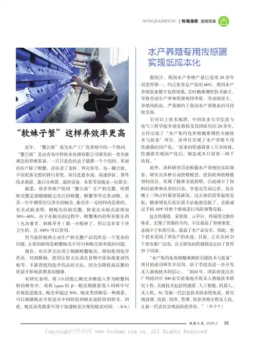“软妹子蟹”这样养效率更高