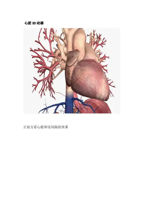 3D动画图解心脏大体解剖(医学专业必收藏)