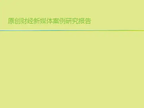 原创财经新媒体案例研究报告