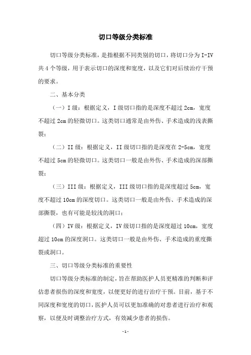 切口等级分类标准