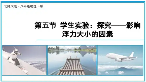 《学生实验：探究——影响浮力大小的因素》PPT课件 北师版物理