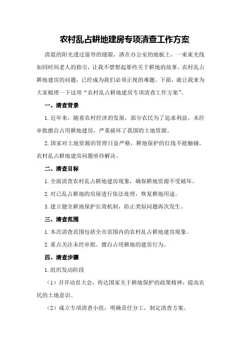 农村乱占耕地建房专项清查工作方案