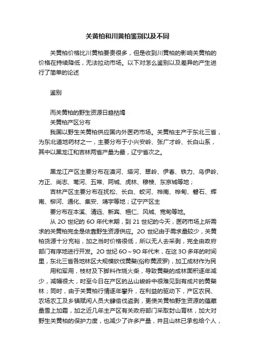 关黄柏和川黄柏鉴别以及不同