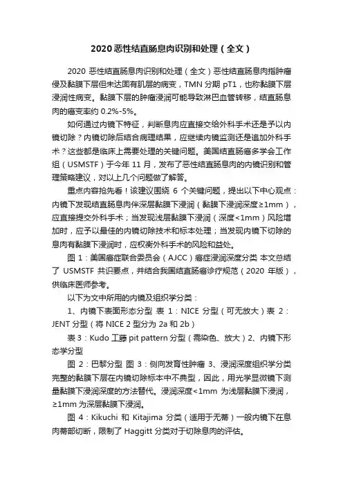 2020恶性结直肠息肉识别和处理（全文）