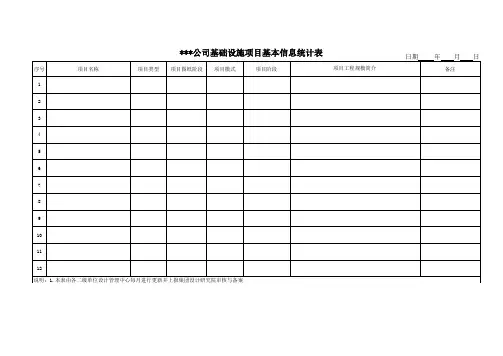 基础设施项目基本信息统计表